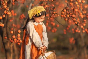 金秋精选【从化柿海一日游】柿子园+艾米稻田+罗洞工匠小镇【[工匠小镇]金灿灿的稻田环绕着挂满红柿的古村落，工匠作坊飘出木香，稻浪与柿影间流淌着岭南独有的农耕匠】