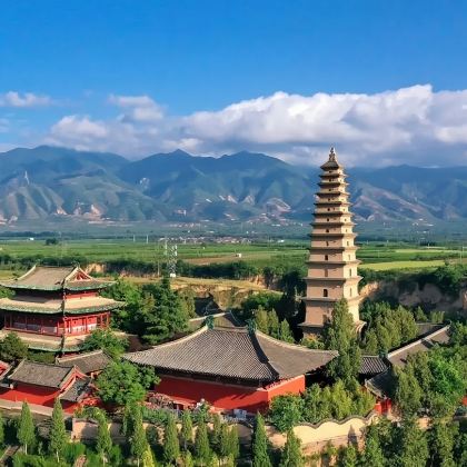 【永济一日游】普救寺+大铁牛+鹳雀楼