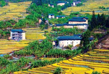 永定高北土楼王景区一日游【纯玩无购物】