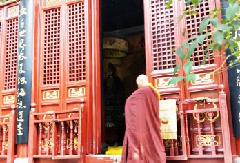 【洛阳起止2-8人团】龙门石窟+白马寺+洛阳博物馆一日游【一天游玩洛阳三大景点。超级划算。】