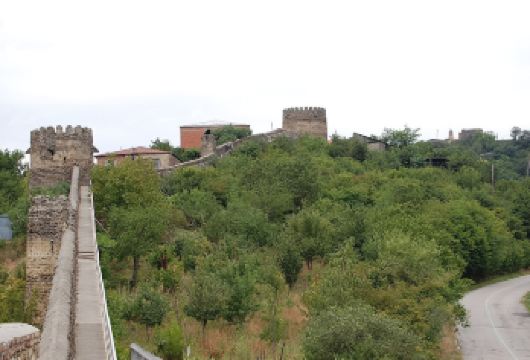 西格纳吉墙+Bodbe女修道院+格鲁吉亚编年史纪念碑包车一日【精品包车，私享空间，上门接送，轻松出行】