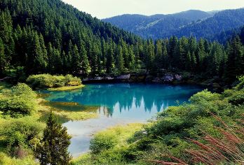 松潘古城一日游【松潘古城-牟泥沟景区-松潘古城包车游】【扎尕瀑布|二道海】