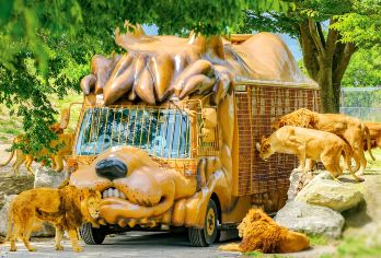 日本九州大分由布院动物园一日游【由布院+金鳞湖+动物公园】【由布院是日本女孩所票选出心目中第一名的旅游胜地】