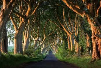 英国 都柏林一日速写：在城堡石阶上，捡拾爱尔兰的过往与今朝【包车游不拼车|中文司机服务|景点可调|可定制多日游】