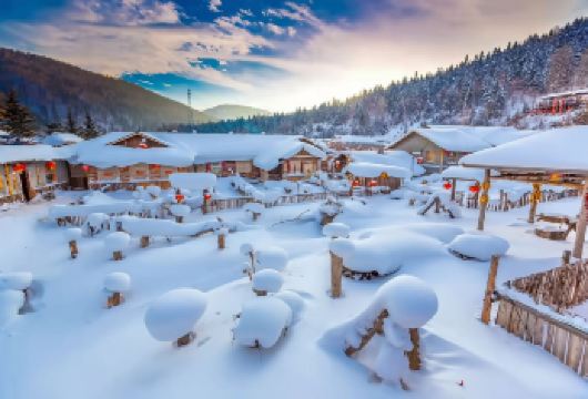 雪乡【Vip2-3人团◆亚布力滑雪场+大秃顶子山+冰雪画廊】【[一起来亚布力至中国雪乡感受北国冰雪浪漫]】