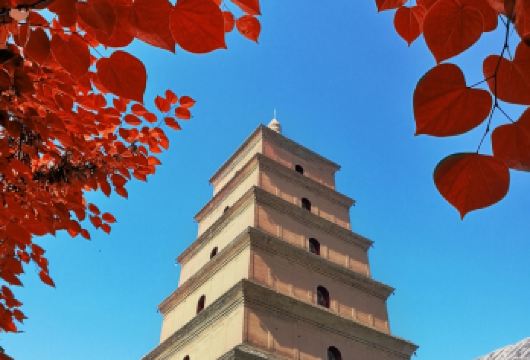 西安兵马俑+华清宫一日活动丨可选千古情/西安事变三环内接+午餐【西安市三环内接，专业导游带团，打卡西安必看的实景演艺】