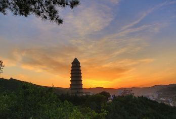 宝塔山+枣园+杨家岭+红秀延安+延安革命纪念馆+王家坪一日活动【不进店】