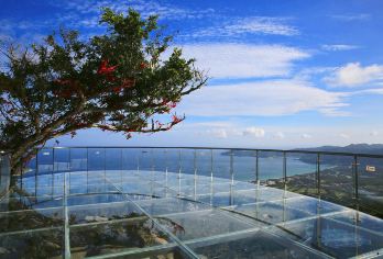 亚龙湾森林公园一日游【暑期专享】含往返接送•景区门票•游览车【（品质保证）纯玩、专业导游服务、游玩时间自由】