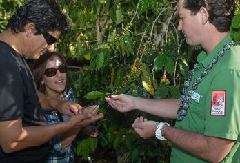 美国夏威夷火山公园+马鞍路观星英文团+实时库存请点咨询客服【上车点后续会联系您告知酒店全称确定】