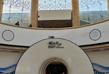 西安小雁塔(荐福寺)+西安博物院（小雁塔）讲解可选套餐含门票【场次可选+配备无线耳麦】