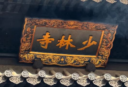 少林一日游【少林全景+武术表演学习+巡礼深度讲解+专车专导】【服务保障：2人就发团，专车专导，纯玩无购物，资深玩家，河南土著带你玩转少林寺。】