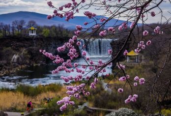 镜泊湖风景区+吊水楼瀑布一日游【镜泊湖半湖游船2人起】【镜泊时光半票退30 免票退80。镜泊印象半票退55 免票退135】