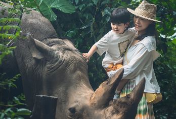 普洱太阳河森林公园+那柯里茶马驿站一日游【接送+门票电瓶车】【[尊享定制团]一对一服务，专车司机用车服务，酒店上门接送，纯玩行程，随心出发，懒人玩法！】