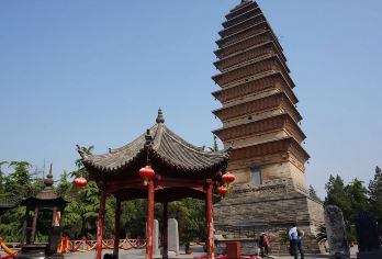 洛阳白马寺+登封少林寺+拼团@【探秘少林寺塔林+武术表演+探索中国武术之源+国际化寺院】