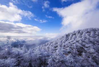 太白山国家森林公园一日游*定期大团【下单前请必须咨询】【一览太白山独特的自然景观，第四纪冰川遗迹】