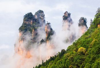 张家界天门山森林公园一日游（含门票，含双索道，含扶梯鞋套）【我们家只做品质团，不做低价团，价格有点高，但是服务真的很好】