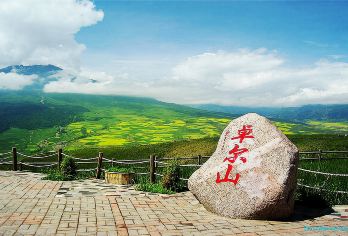 祁连山草原+卓尔山+岗什卡景区一日游【包车畅游+想拍随停】【[一路向南]青海专属的瑞士风光，相约祁连山下，感受雪山、草地、原野、羊群的多姿多彩！】