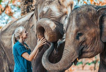 泰国旅游 甲米奥南大象保护营半日游 大象洗澡喂食亲子互动【喂食大象、小象洗澡，一起戏水玩泥巴，成为亲密好朋友】