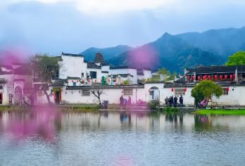 【包车游】西递+宏村+碧山书局一日游 上门接送|纯玩无购物【[一对一包车]专车上门接送，车辆费用全含】