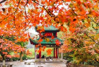 可选私家团接送|湖南省博物馆+橘子洲景区+岳麓山爱晚亭一日游【匠心打造湖湘体验：️①可选小团上门接·晚出发不赶早，②正宗湘菜体验，③专线导游无线耳麦人工讲解；】