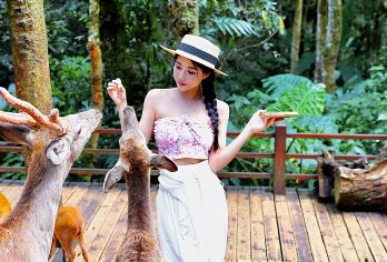 普洱茶马古道遗址公园+太阳河森林公园一日游【市区上门接送】【[精致小团]小团出游，不奔波不赶路，睡醒出发；】