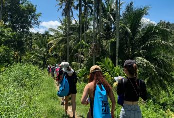 万宁热带雨林徒步1日游【溯溪攀岩+野生瀑布+潭水+原始丛林】