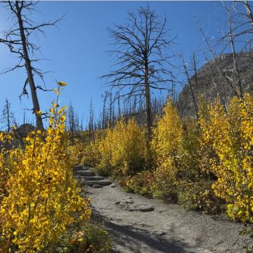加拿大卡尔加里+沃特顿湖国家公园往返一日游