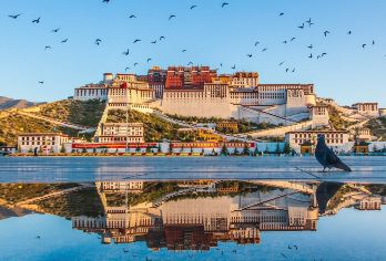 布达拉宫预约门票+导游深度讲解2.5小时【[品质保障]全程纯玩布达拉宫，不打擦边球，请区别于低价团！】