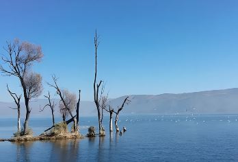大理一日游环洱海跟团游纯玩商务车小团 可选洱海邮轮南诏风情岛【品质保证：纯玩团，无隐形消费，无推销，游玩更轻松】