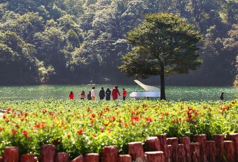 私家团上门接送从化石门公园天池花海+南平小镇避暑溯溪摘果一天【私家旅行：一单一团，不拼客，专属旅行 品质服务：5座/7座车上门接送，专职司机护航】