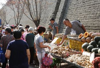 西安徒步之旅：南门市场、湘子庙、城墙、高氏院落书法【品味西安的清晨活力——在南门市场品尝新鲜的柿饼和麻辣豆腐汤，当地人在这里古城墙下购物。 您可以步行或骑自行车登上西安拥有600年历史的城墙，然后探索清代高氏大院中隐秘的庭院，并体验书法艺术。 您可以乘坐地铁/出租车，或者漫步西安的街角，深入体验这座古城的当地生活和文化。】