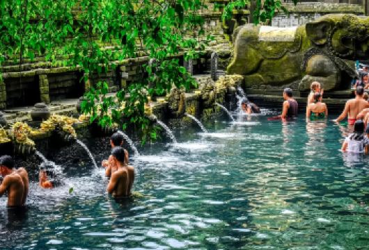 从北到中部——海豚、寺庙和宫殿：巴厘岛文化日探险【乘坐传统的舷外支架船追逐嬉戏的野生海豚，在神圣的喷泉水流下感受精神的焕发，在乌布的历史中心感受其文化脉搏】