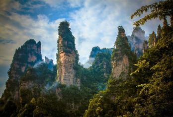 【8人·纯玩商务小团 】张家界国家森林公园一日游+上门接送【纯玩无购物，森林公园热门景点全打卡[黄石寨+金鞭溪+杨家界+袁家界+天子山+百龙天梯]】