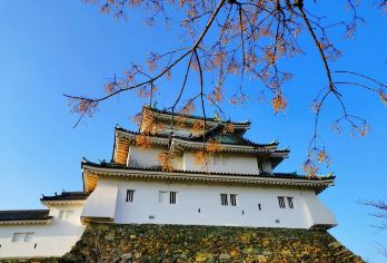 日本大阪+和歌山+三段壁+圆月岛一日游/行程可调-可定制多日【包车一日游，解锁旅行新方式！独立车辆配备经验丰富的老司机，为您量身打造专属行程。】