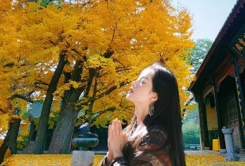 济南灵岩寺半日游●私家团·VIP精讲·济南往返车·含票【[纯玩口碑引领者] 匠心打造品质纯玩团，拒绝枯燥无味的低价流水线旅行团，不做低价劣质套路团。】