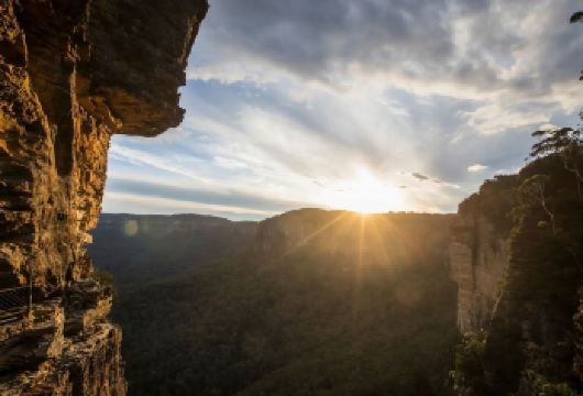 【Autopia Tours】悉尼蓝山丛林探险+瀑布日落之旅【[晚出发]较晚的发车和返程避开悉尼高峰时段的交通，让您有更多时间沉浸在宁静的原生森林中】
