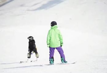 阜阳出发·【3小时滑雪+雪具】霍山大别山滑雪1日游【纯玩无购物】