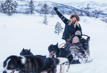 挪威特罗姆瑟狗拉雪橇一日游【自驾雪橇+特罗姆瑟往返】【在风景优美的环境中体验激动人心的狗拉雪橇冒险吧！】