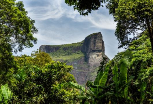 蒂茹卡国家森林公园+基督像+里约大教堂+糖面包山+塞拉伦台阶【精品包车，私享空间，上门接送，轻松出行】