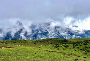 丽江玉龙雪山【牦牛坪+蓝月谷】一日游+6-8人小团+含衣氧【[精选路线]6-8人精品小团、车型舒适温馨、让您的行程无憾，行程轻松愉快】