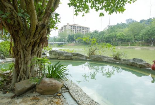 广东惠州南昆山温泉大观园一日游【公司团建、集体出游的行程】【[团队出游]您是否需要策划一场完美的公司旅行，快点击客服咨询吧】