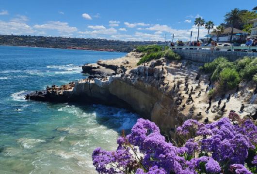 美国洛杉矶-圣地亚哥-中途岛号博物馆【中文包车自由行】【中文专车出行，行程自己定义，无需等待，专属贴心服务，尽享惬意旅程】