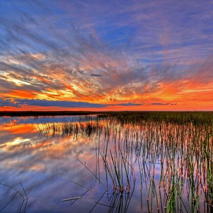 美国迈阿密-大沼泽地国家公园一日游【中文包车自由行】