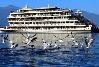 大理环洱海一日游【大游轮+南诏风情岛+双廊+喜洲+8人团】【2-8人商务车、古城、下关市区内免费接送】