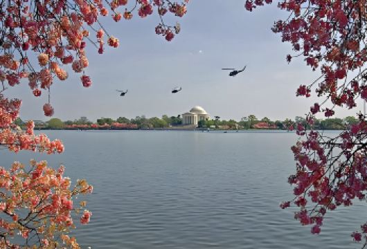 美国纽约&华盛顿经典游 可定制多日【中文专车-舒适纯净】【中文专车出行，景点灵活调整，打卡经典，游玩自己定义，无需等待，专属贴心服务，尽享惬意旅程】