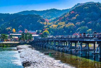 【大阪】奈良公园+东大寺+伏见稻荷大社+清水寺+花见小路一日【与奈良公园极富灵性的鹿群互动，亲身体验喂食乐趣】