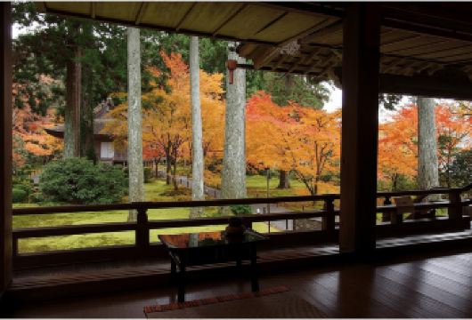 日本京都-琉璃光院-三千院-贵船神社-红叶满天 京都巡礼【专业行程定制，精选热门景点，高效游玩不走回头路，贴心服务保障，轻松】