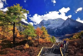 【稻城亚丁机场接送+邦普寺+红草地+稻城白塔+兴伊措】【[安心游]当地老司机，放心游玩无顾虑】