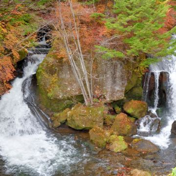 东京出发：日光+江户村+东照宫+中禅寺湖+华严瀑布一日游