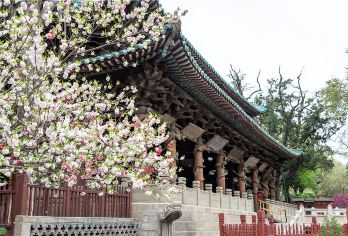 【假期特价推荐】晋祠博物馆半日游【深度讲解1.5小时含耳麦】【[景点]晋祠是后人为纪念唐叔虞所建的祠宇。以其历史悠久、艺术价值高的古建群和优美的自然风景而著称于世】